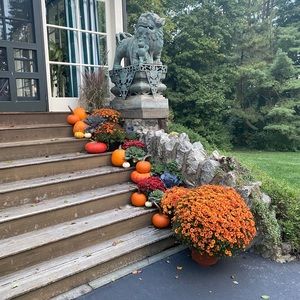 Meet your Posher, Kristie